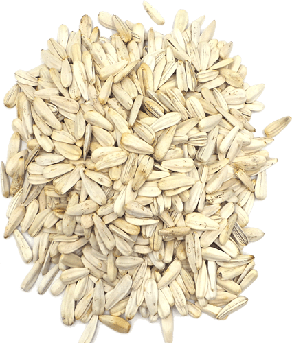 Sunflower Seeds – Kabakçı Gıda